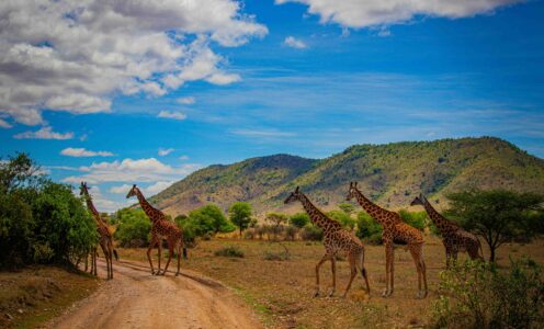 Serengeti National Park