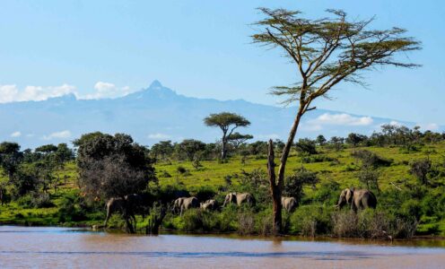 Kenia