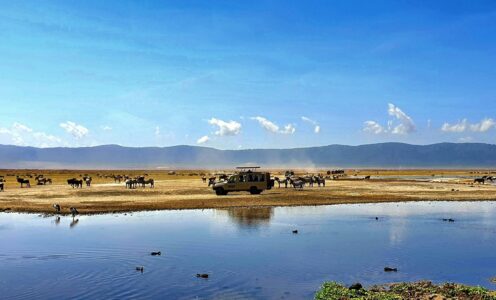 Ngorongoro