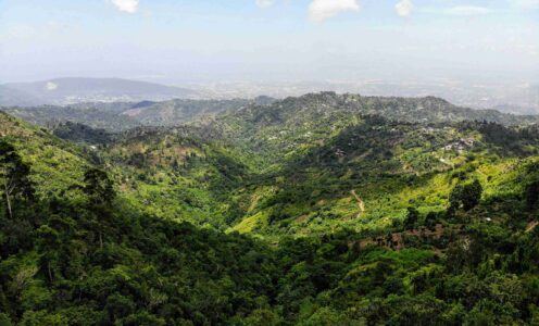 Blue Mountains, Jamaica